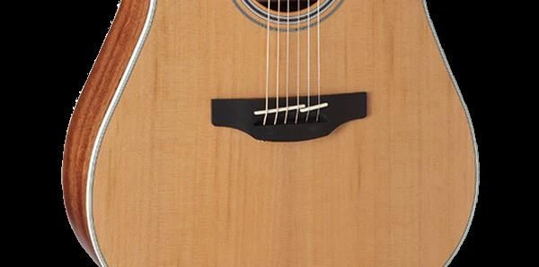 Takamine G20 Series Cutaway Dreadnought Guitar with Solid Cedar Top & Pickup - Image 2