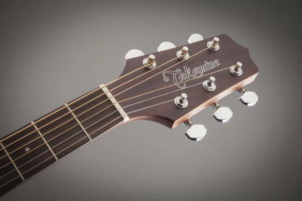Takamine G20 Series NEX Cutaway Guitar with Cedar Top & Pickup - Image 4