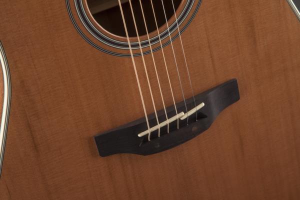 Takamine G20 Series NEX Cutaway Guitar with Cedar Top & Pickup - Image 6