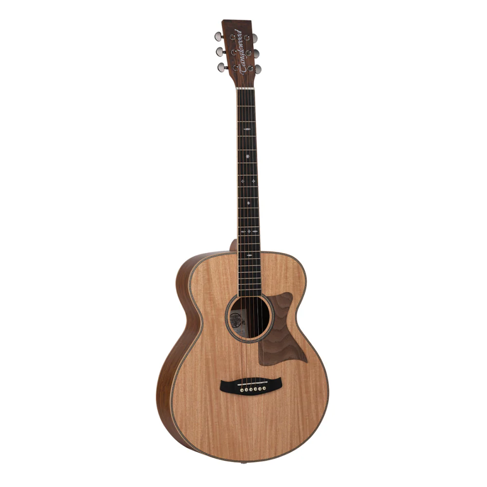 Tanglewood Reunion Pro Folk Hawaiian Rain Wood Solid - Image 3