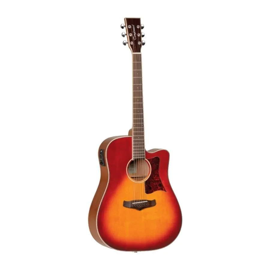 Tanglewood TW5SB Winterleaf Dreadnought Acoustic Guitar with Pickup in Sunburst Gloss