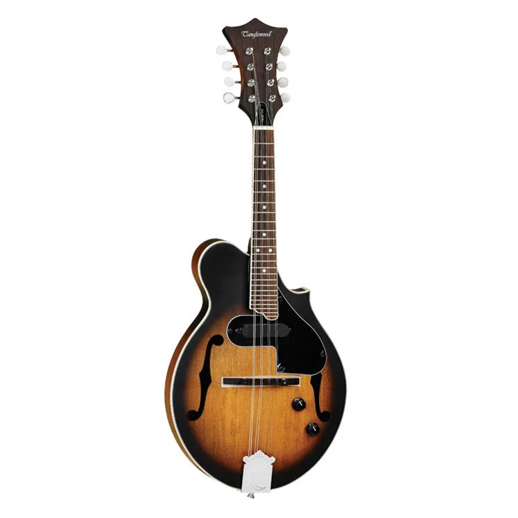 Tanglewood TWMFVSE Scroll Spuce Top Mandolin - Vintage Sunburst - Image 2