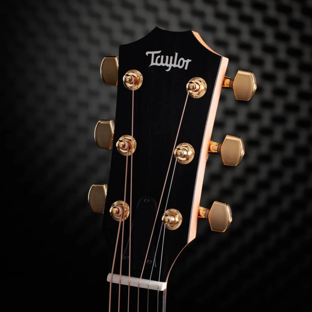 Taylor 217e-SB Plus 50th Anniversary Acoustic Guitar - Image 3
