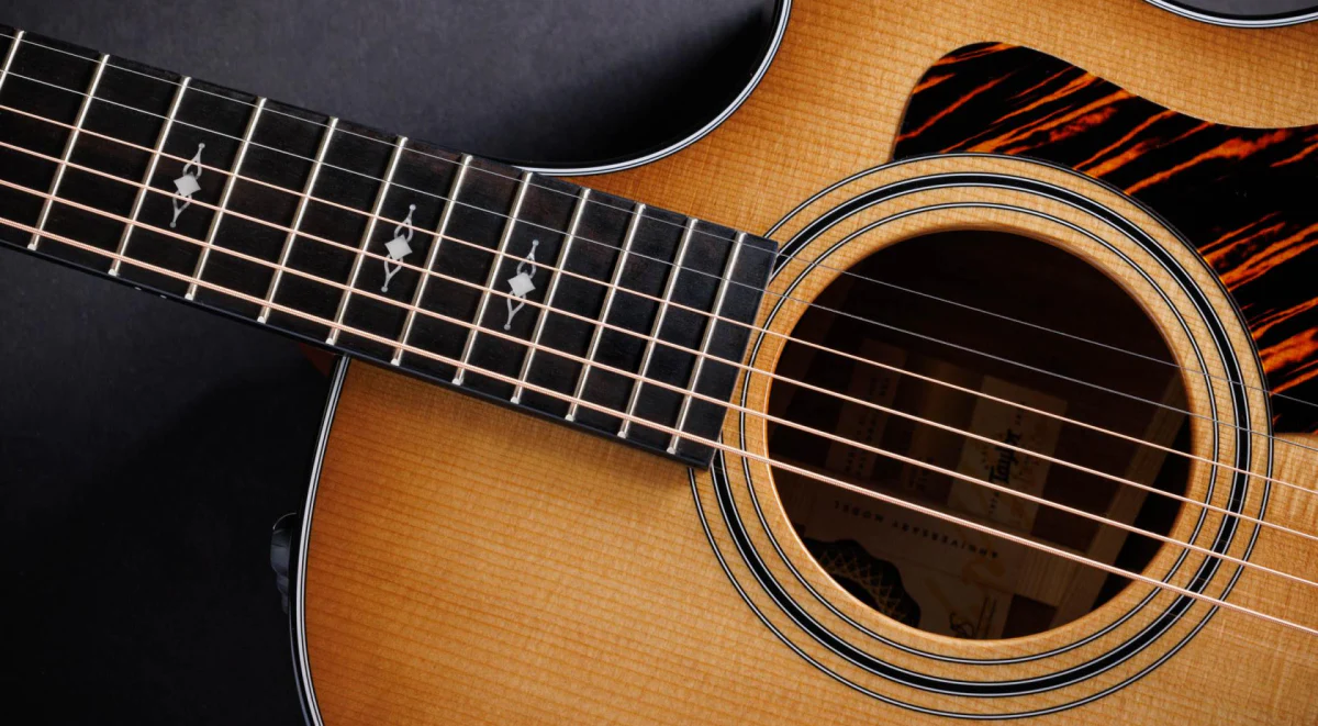 Taylor 314ce Limited Edition 50th Anniversary Acoustic Guitar - Image 3